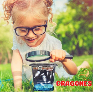 Acuario Magico De Mini Dragones 50% OFF