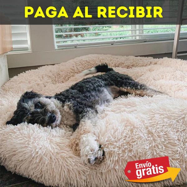 Cama Premiun Para Mascotas