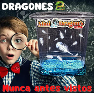 Acuario Magico De Mini Dragones 50% OFF