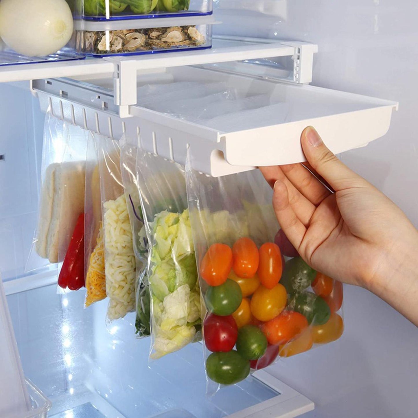 ORGANIZADOR DE BOLSAS ZIPLOCK PARA NEVERA 50% OFF
