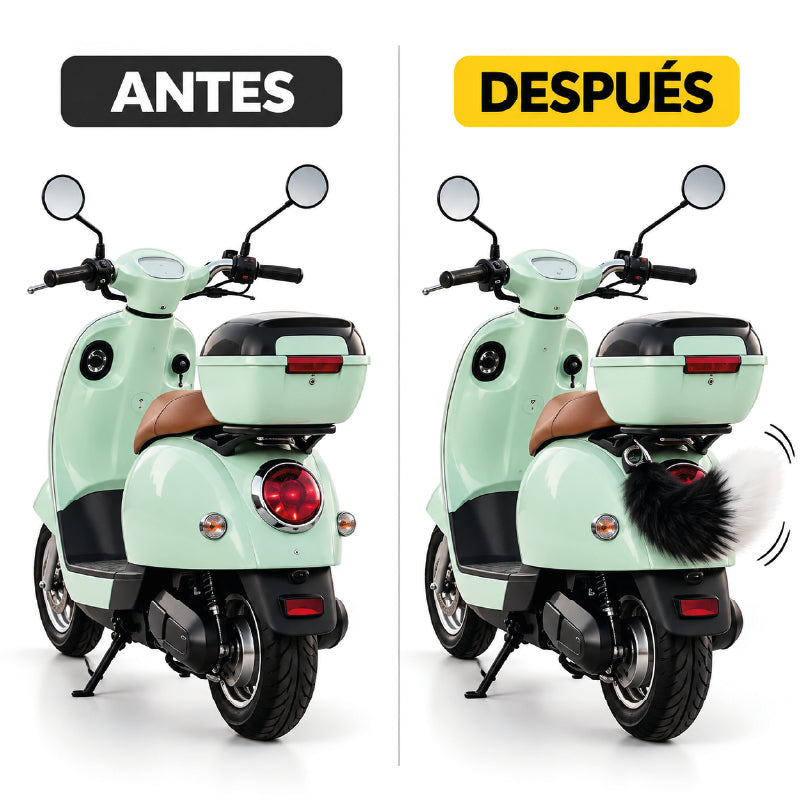 COLAFOX ACCESORIO EN  TENDENCIA