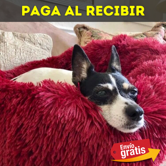 Cama Premiun Para Mascotas