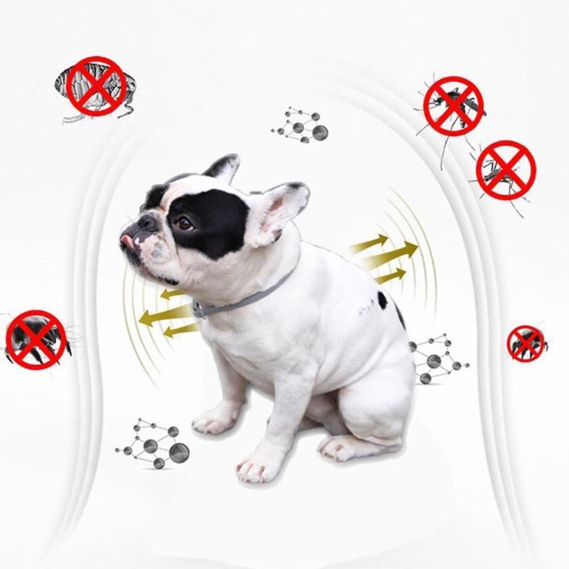 Exterminador de Pulgas y Garrapatas PRO (50% Descuento)